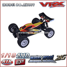 1/18 scale electric rc buggy, brushless rc car